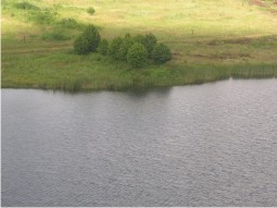 DSCN0737