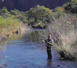 flyfishing4