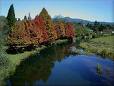 sabie2
