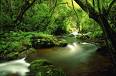 sabie4